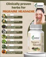 Neuro Shanti - 30 Teblet - Image 2