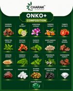 Onko+ ( 60 Capsule ) - Image 9