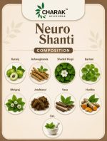 Neuro Shanti - 30 Teblet - Image 6