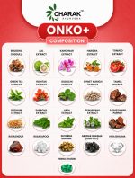 Onko+  Mini ( 30 Capsule ) - Image 5
